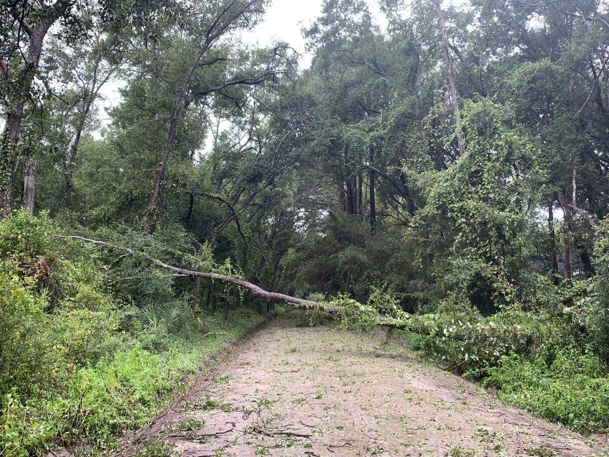 Debris found on Mitchellville Rd., Fish Haul Beach Park accessible from Baygall Rd.