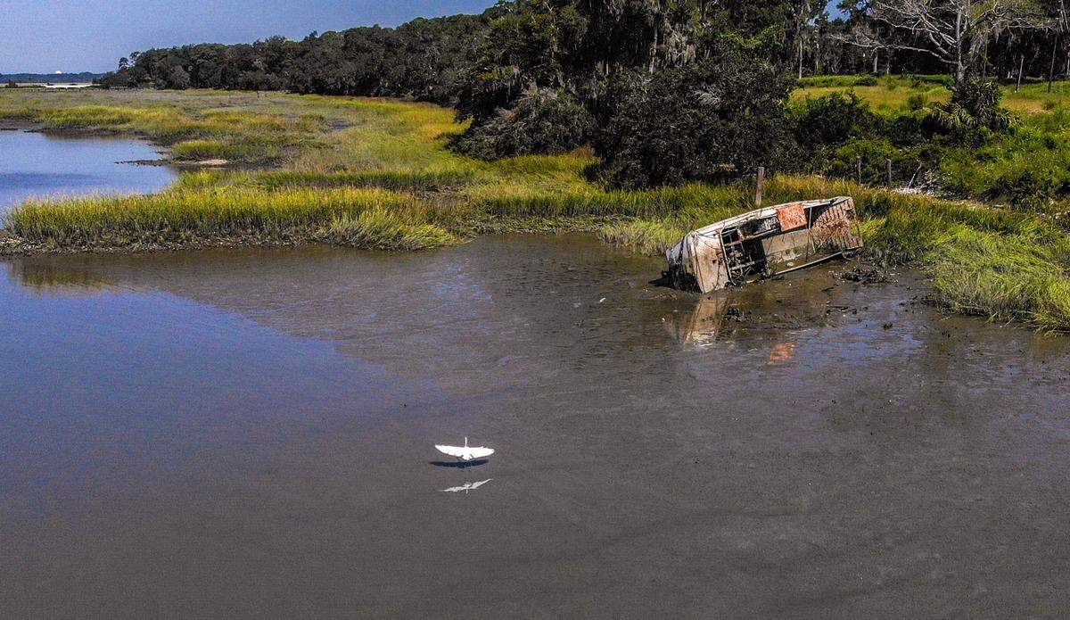 An egret lands in the tidal flats of Battery Creek near the shrimp docks as the hull of a former transport boat is visible at low tide on Sept. 21, 2022 in the Town of Port Royal.