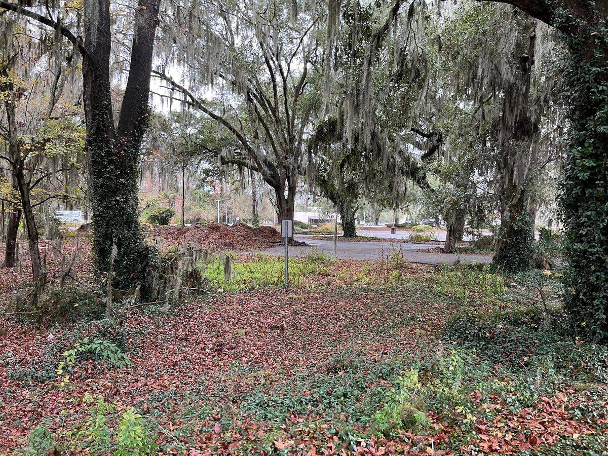 The location of the proposed Harry Teeter grocery store and gas station across Sea Island Parkway from Publix.