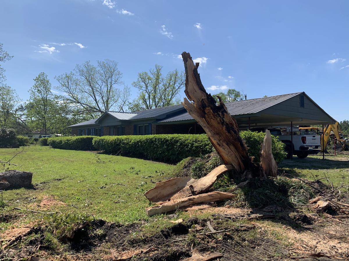 The stump of a decades old pecan tree pokes out of Erma Adams’ front yard. A tornado that swept through Hampton County on Monday, April 13, 2020, mostly did not damage her home but ravaged majority of the trees around it.
