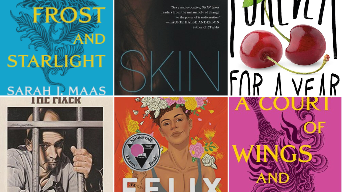 Beaufort County schools ban fourth book in book review process