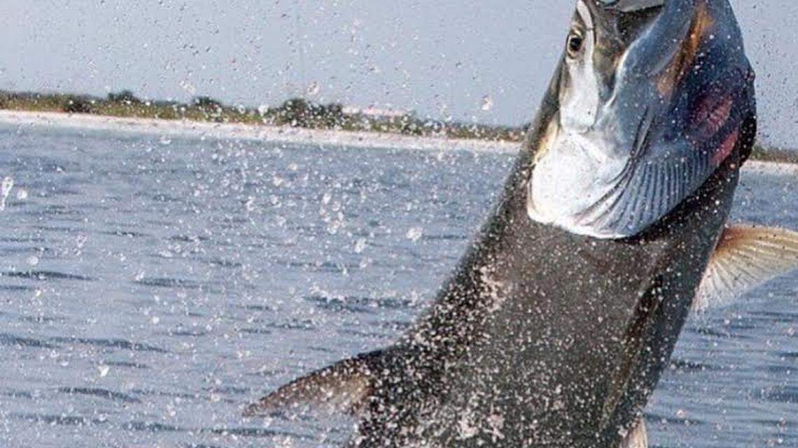 SC among the best states for fishing in 2024, new report shows. Here’s where it ranks and why