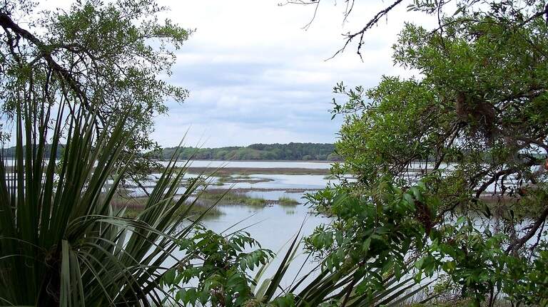You can join an archaeological survey of ancient artifacts in SC for free. Here’s when and how