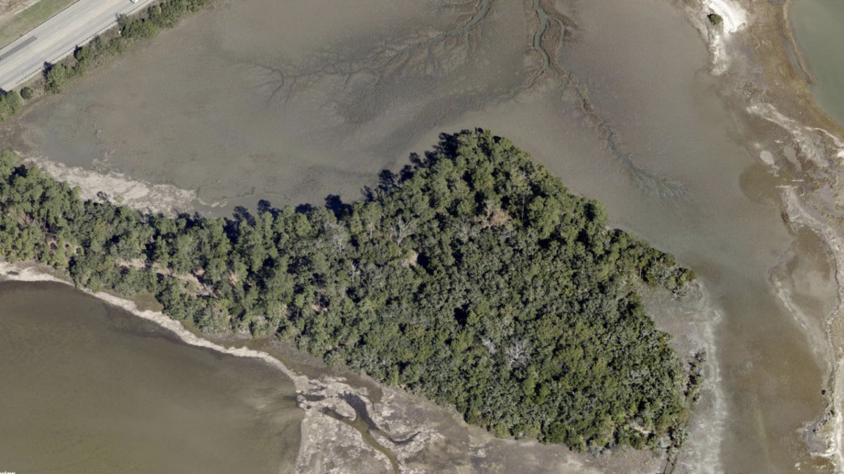 Beaufort County recently solidified acquisition of the North Widgeon Tract, a 9-acre, drumstick-shaped enclave of high ground connected to the larger Lemon Island assemblage of islands.