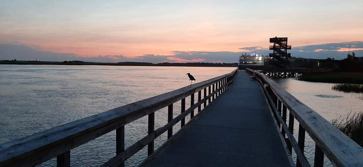 The town of Port Royal spent $7,000 to clean up graffiti at the observation tower at the end of the boardwalk.