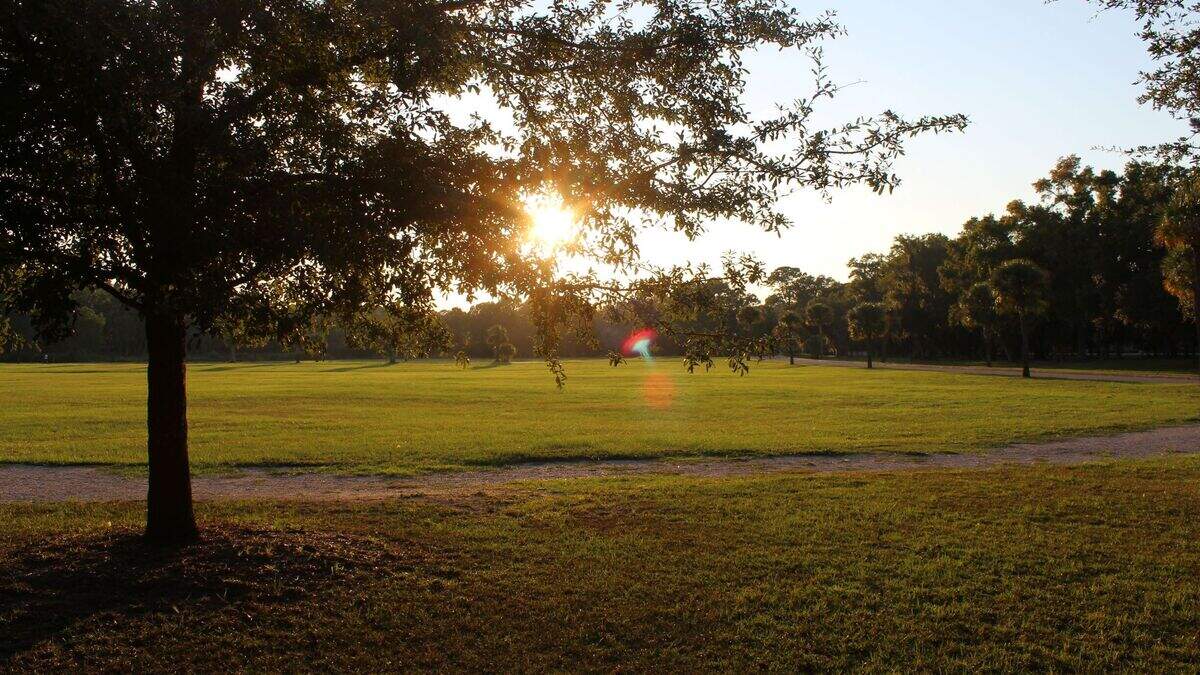 A recent city of Beaufort survey asked Mossy Oaks residents what they wanted Southside Park to be.