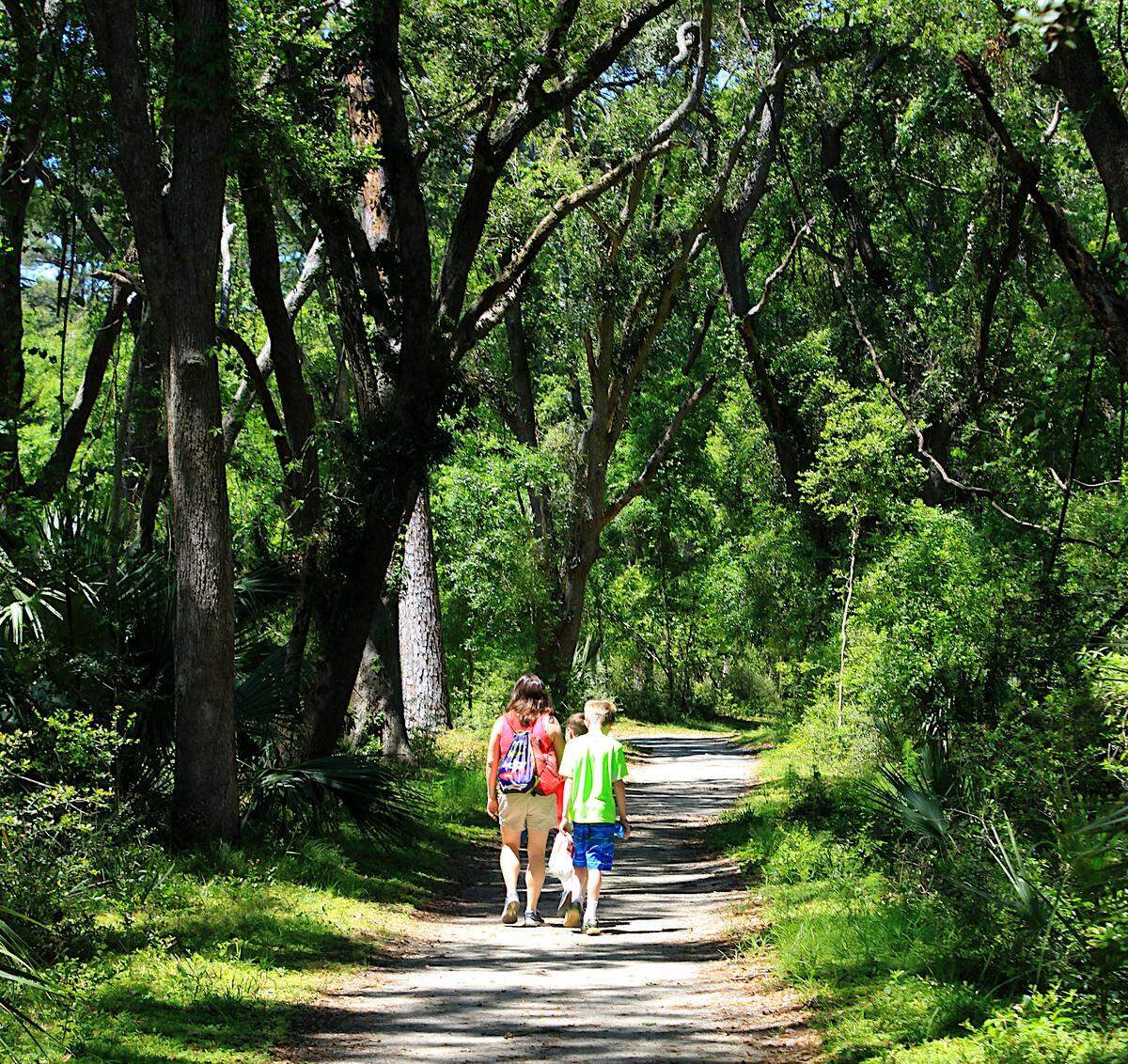 A walk in the woods: Edisto Beach State Park has nearly five miles of trails that provide easy walking along sandy paths beneath a canopy filled with songbirds and sunlight.