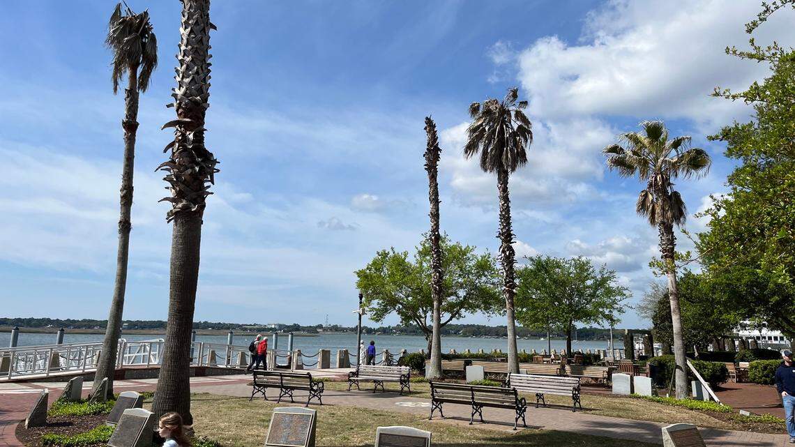 Beaufort OKs removal of 17 palm trees from ‘crown jewel’ of parks. Here’s the work schedule