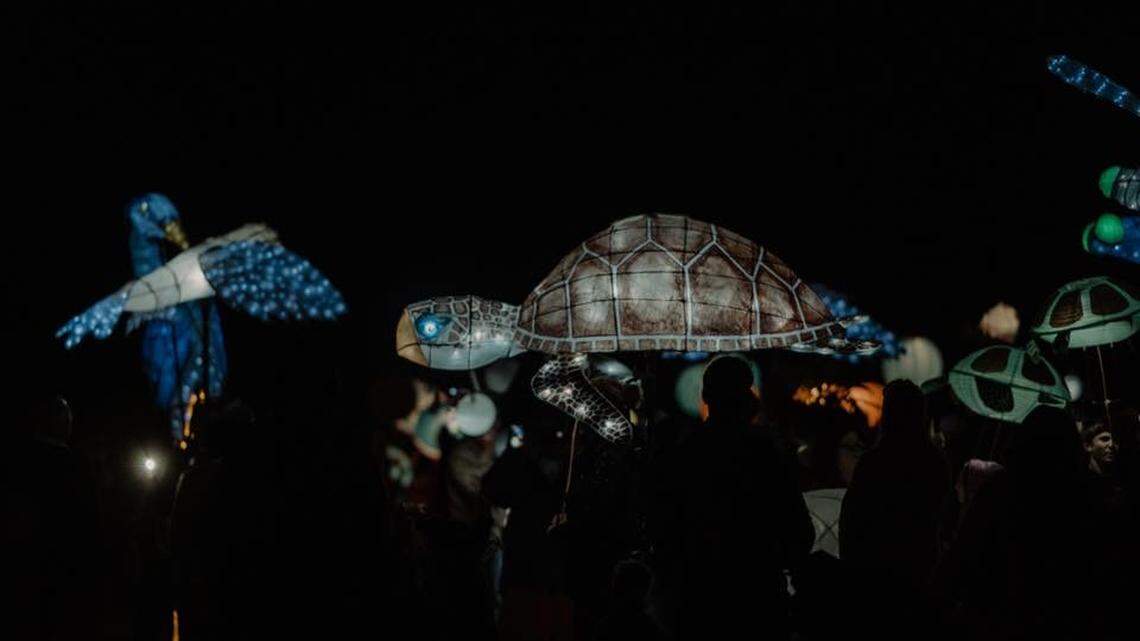 Crescendo, lanterns and Pat Conroy-inspired art in the time of COVID