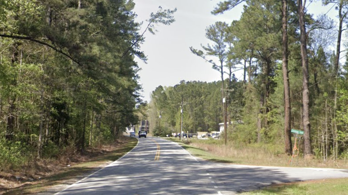 A bicyclist was killed in a hit-and-run early Monday morning near the intersection of Coleman Loop and S.C. 46, a relatively remote state highway with a speed limit of 55 mph.