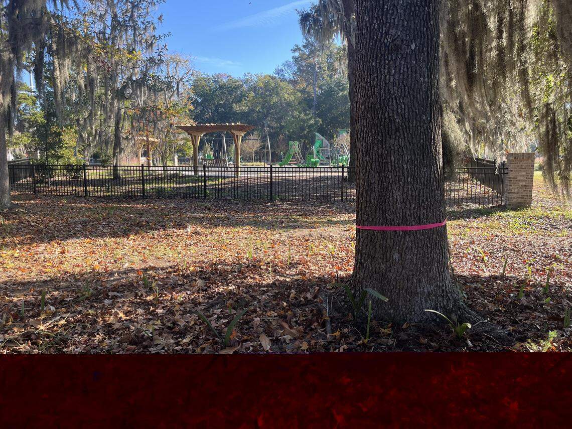 The playground at Southside Park in Beaufort will be closed at 3:30 p.m. Monday to remove of a nest of yellow-legged hornets.