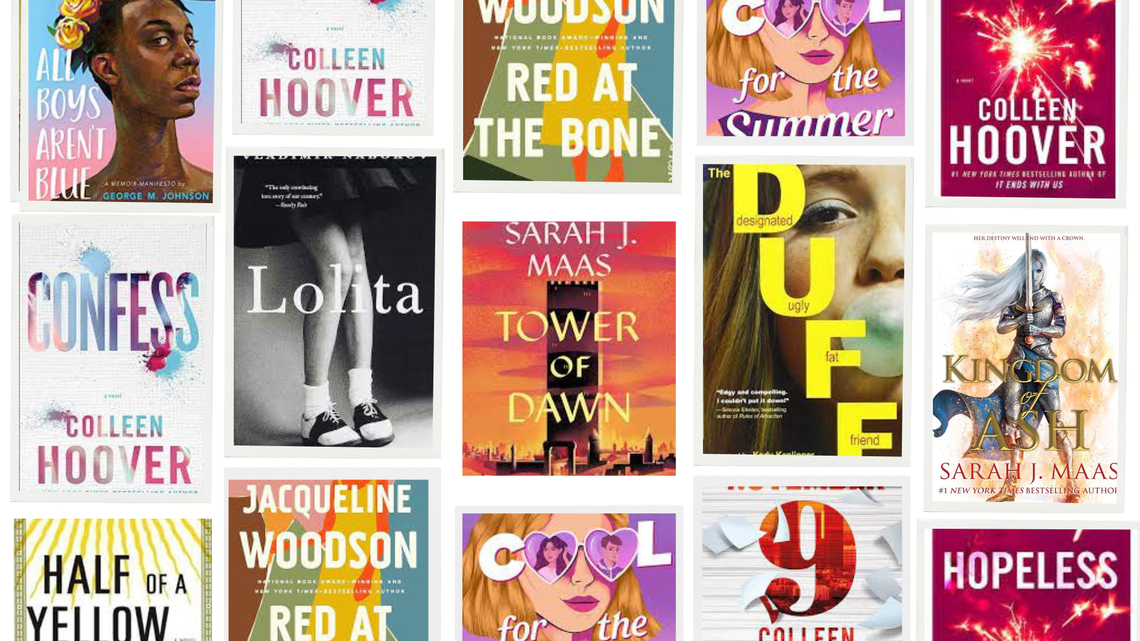 Will Beaufort County return 11 more books to library shelves? Review committees decided