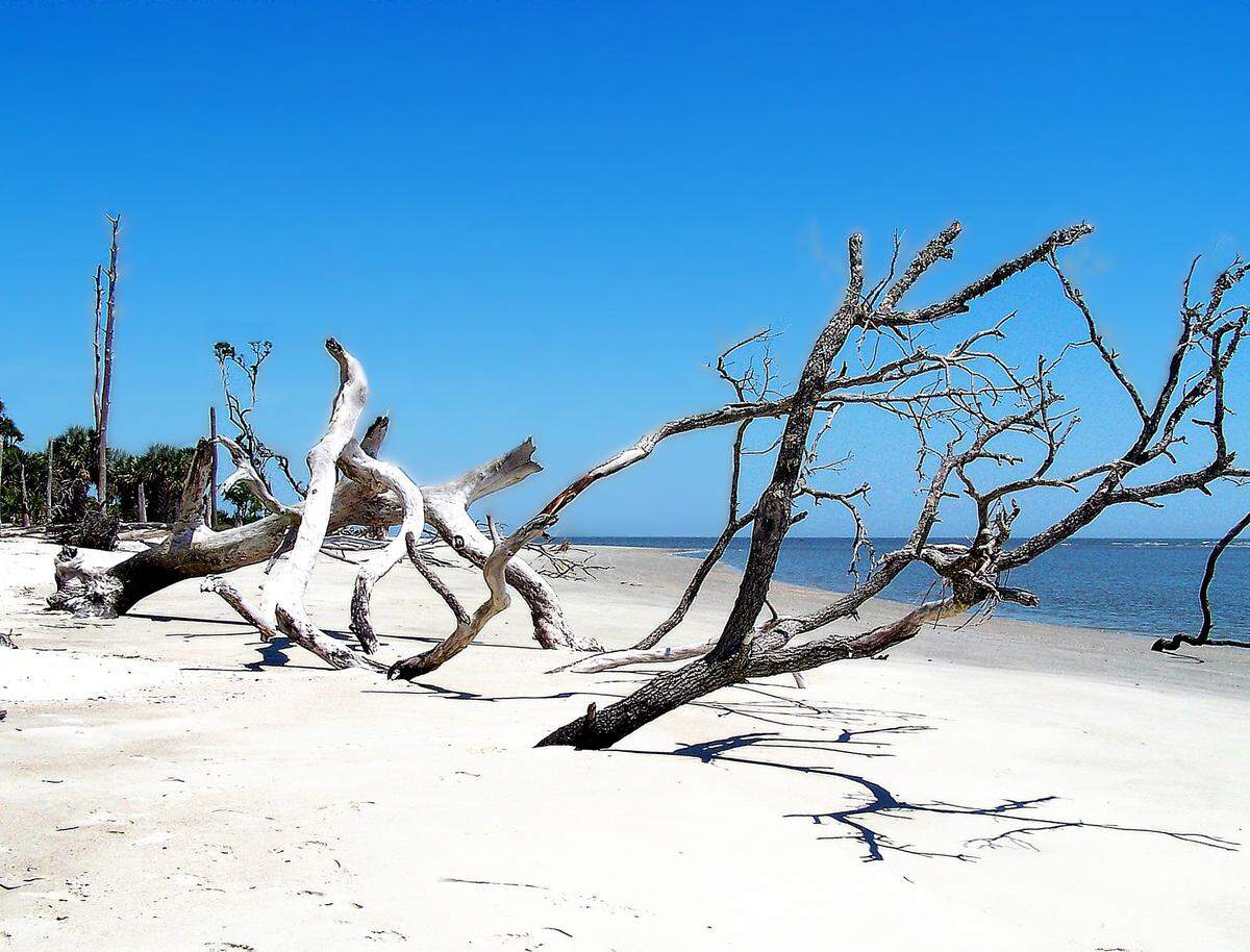 The pristine beach of Daufuskie Island ends at picturesque Bloody Point, the southernmost tip of the island. Beyond is Tybee Island and the city of Savannah. Once home to a prosperous plantation, Bloody Point gets its macabre name from several battles fought between colonists and Native Americans during the turbulent Yemassee War.