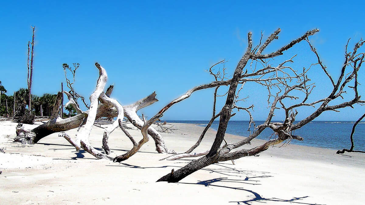 The pristine beach of Daufuskie Island ends at picturesque Bloody Point, the southernmost tip of the island. Beyond is Tybee Island and the city of Savannah. Once home to a prosperous plantation, Bloody Point gets its macabre name from several battles fought between colonists and Native Americans during the turbulent Yemassee War.