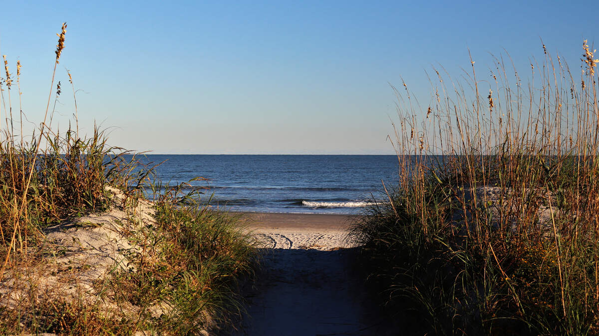 When you visit Huntington Beach State Park near Georgetown you will be able to enjoy over three miles of pristine beach, untouched by development.