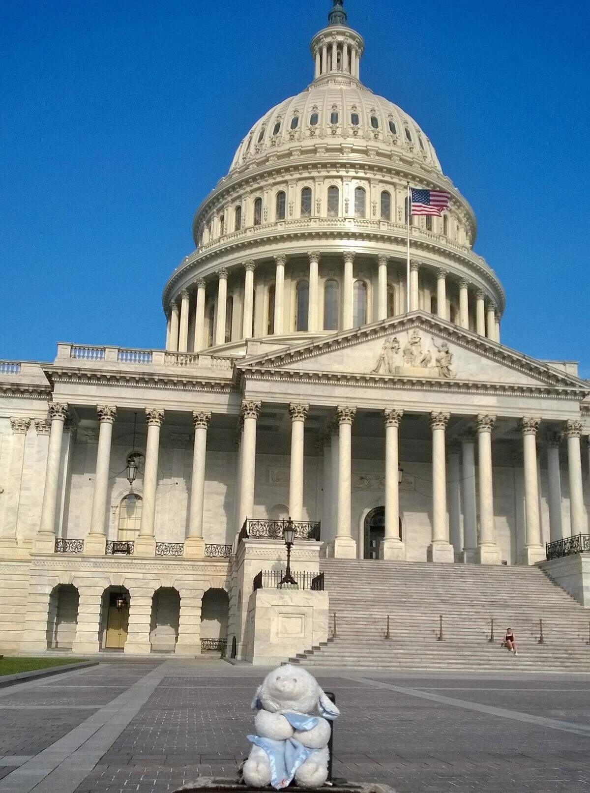 When Brandon Arrieta visited Capitol Hill for the first time, he took a photo of Lamby to help commemorate the trip.