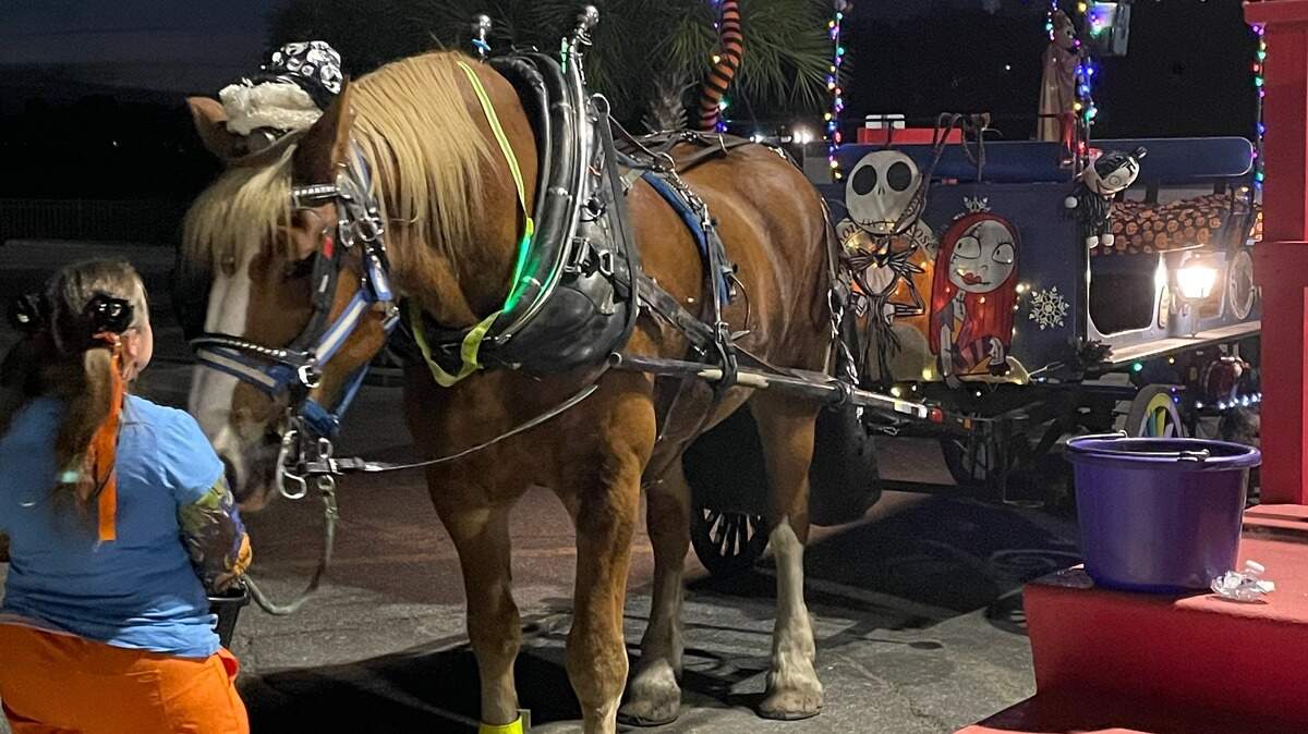 Wyatt the horse gets ready to take guests on a ghost tour of downtown Beaufort on Friday, Oct. 24, 2025.