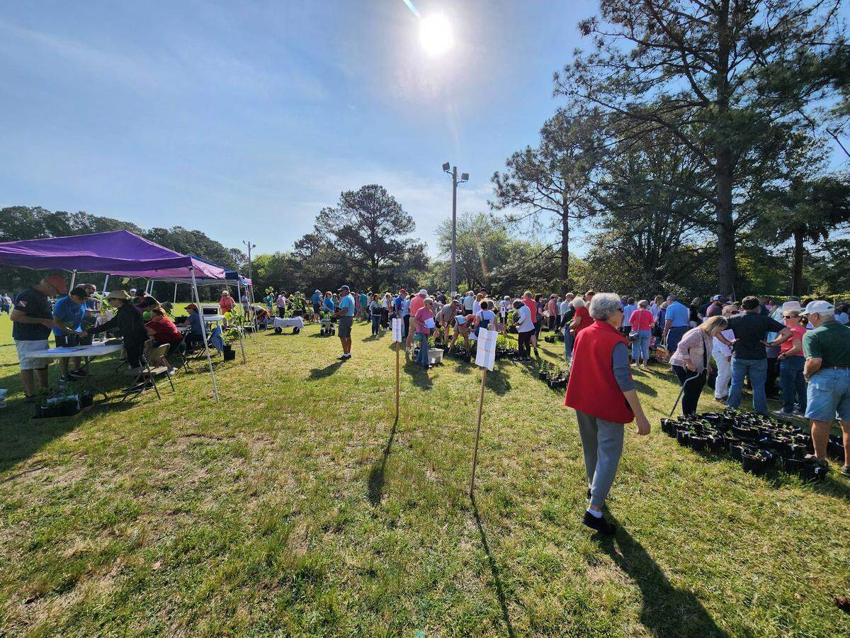 A spring 2023 native plant sale at the Coastal Discovery Museum on Hilton Head Island. The museum and native plant sale can be found at 70 Honey Horn Dr, Hilton Head Island, SC 29926.