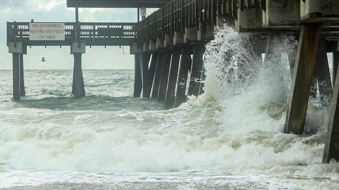 Tybee Island police have arrested a woman who allegedly tried to drown a puppy in the ocean after deciding she did not have money for medical care.
