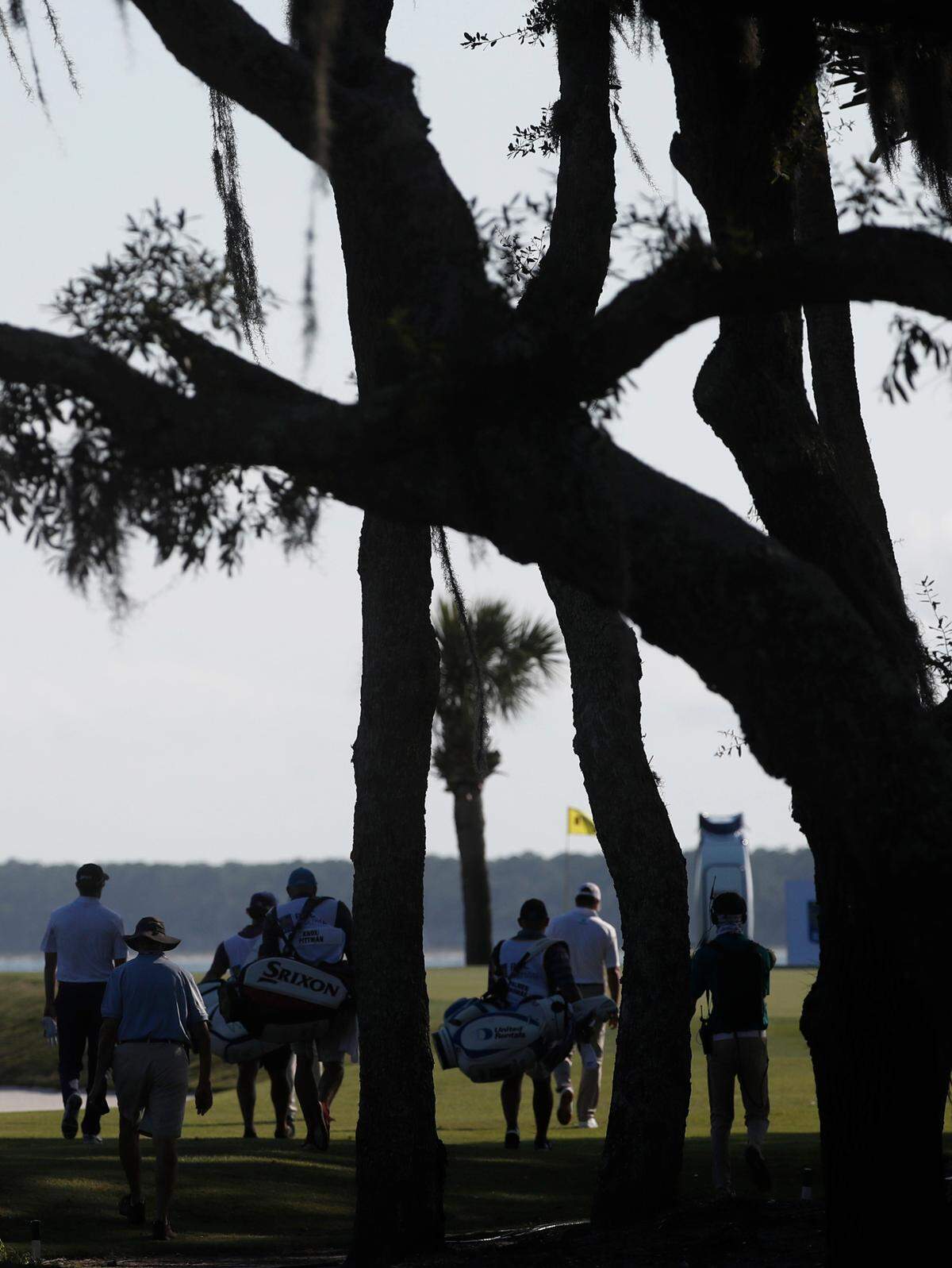 A group of golfers and their caddies walk toward the 17th green during the 2020 RBC Heritage golf tournament held at Harbour Town Golf Links in Sea Pines on Hilton Head Island.