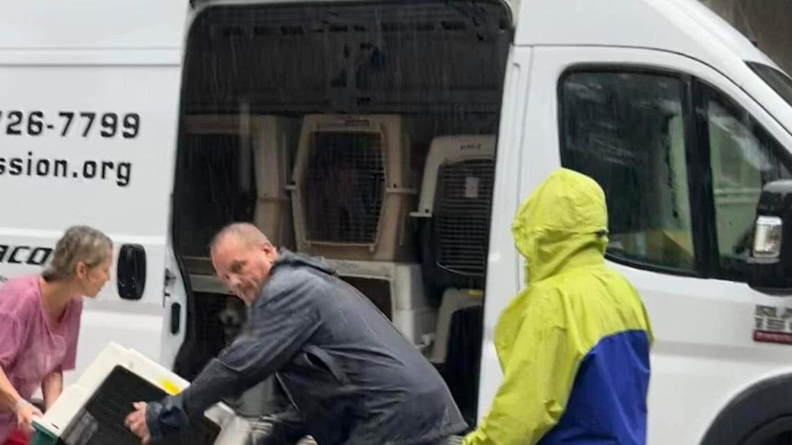 Community takes in over 40 pups from Jasper County shelter due to Tropical Storm Debby