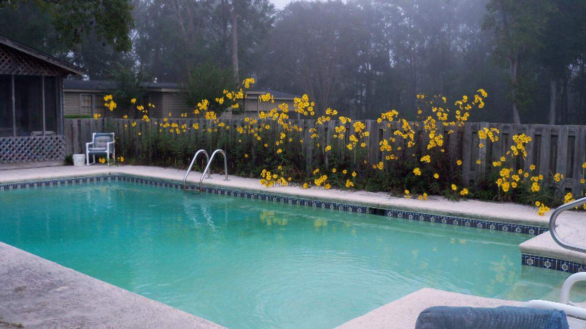 A much-used pool on Tanner Hill is lined with September daisies along a wooden privacy fence.