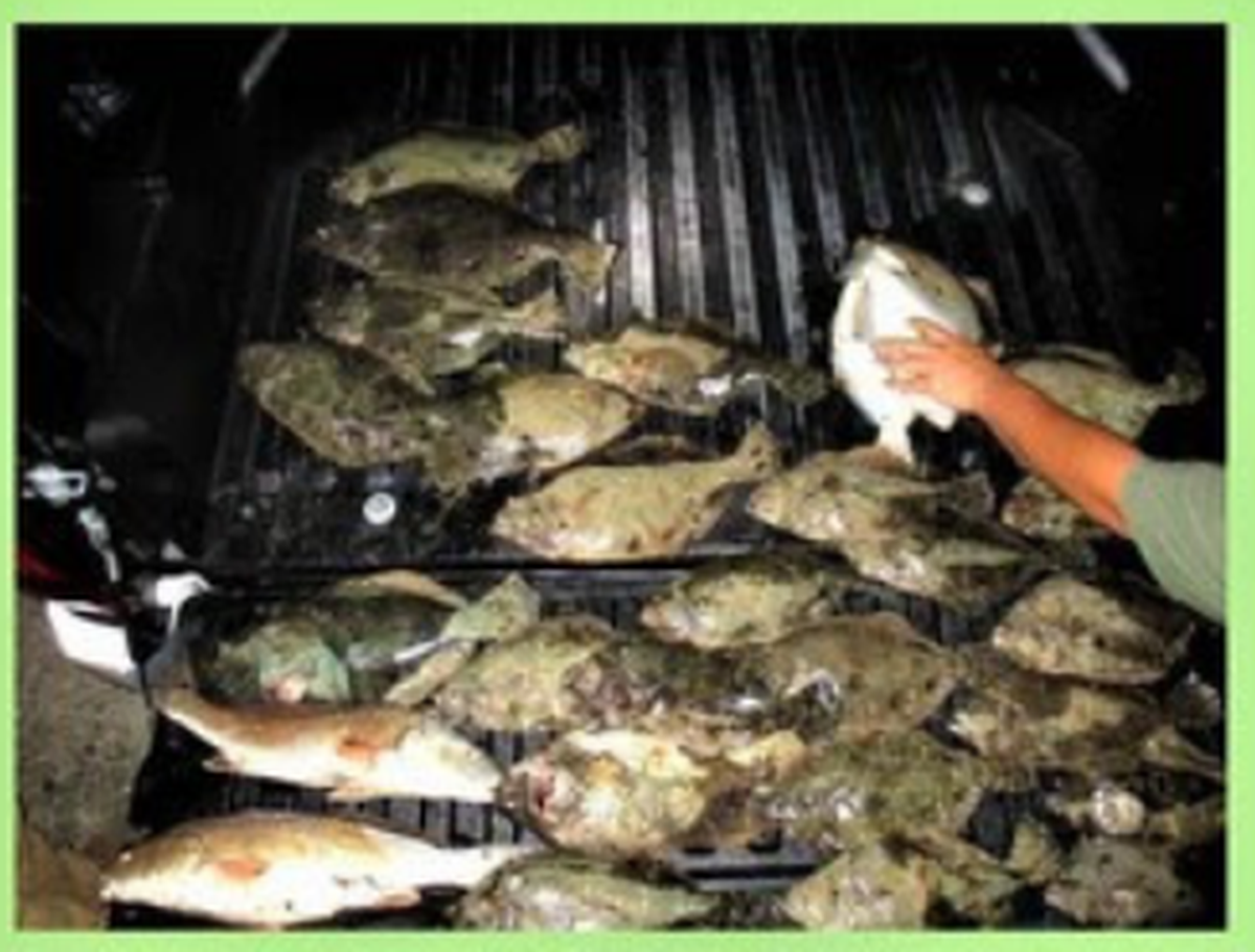 Six individuals have been charges following an investigation into illegal harvesting and sale of flounder and other species of fish in Beaufort County.