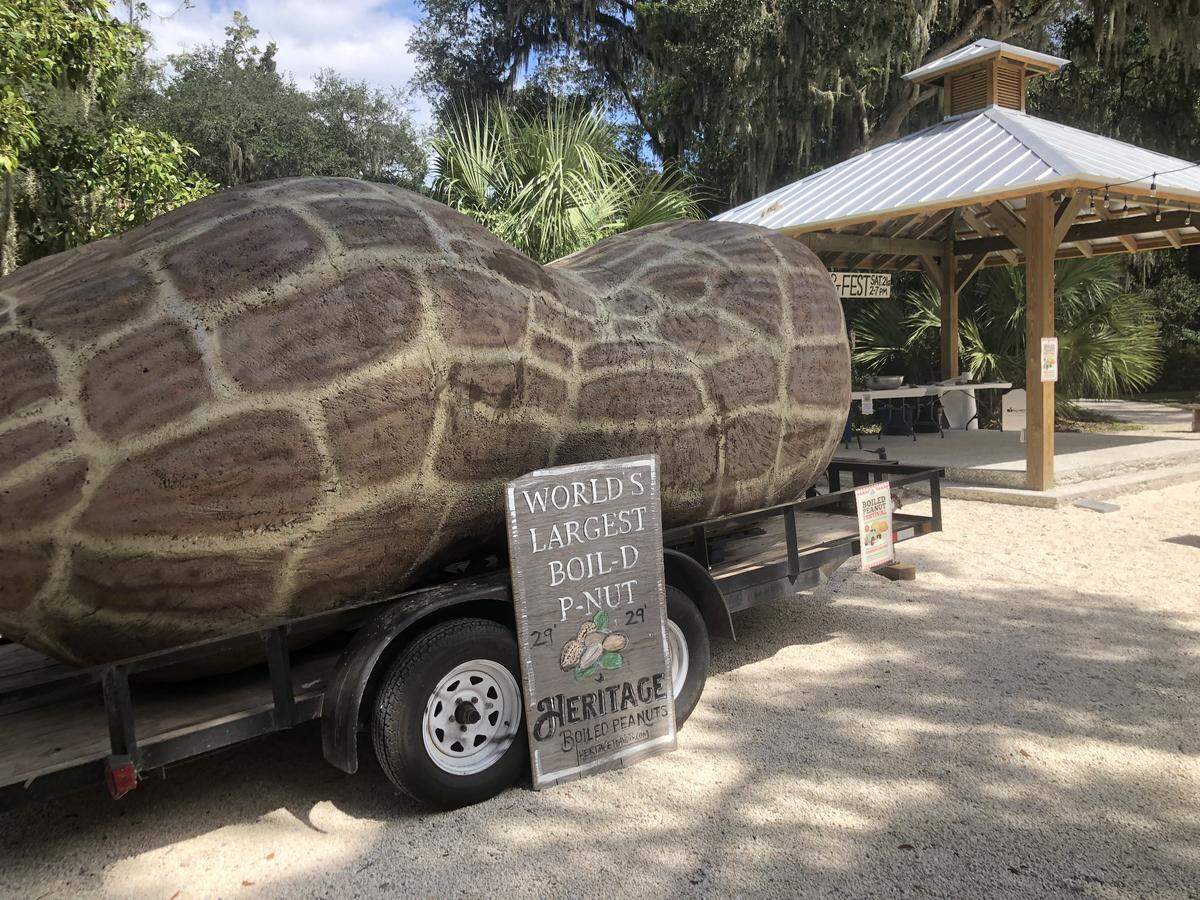 “The World’s Largest Boiled Peanut,” a more than 20 foot long nut made of plywood, chicken wire and spray foam sat as the backdrop for most of the attendees’ photos from the Bluffton Boiled Peanut Festival.