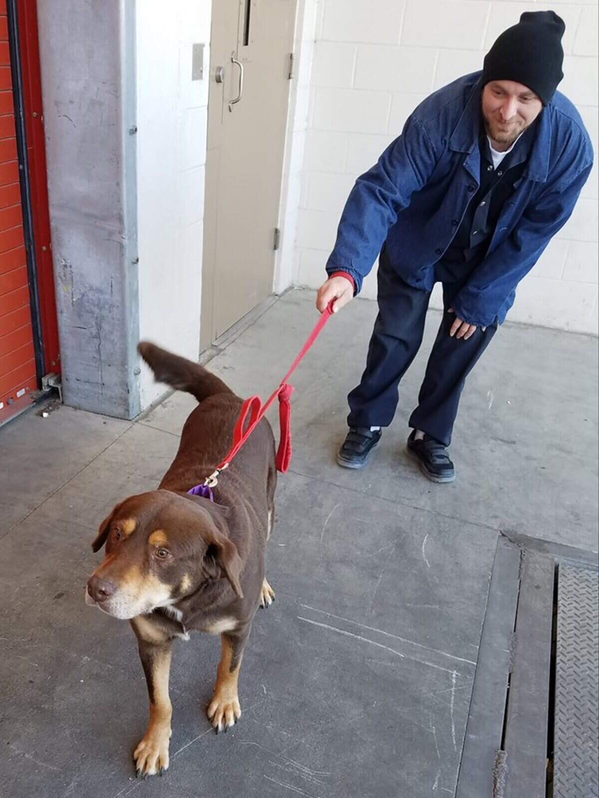 An inmate works with one of the dogs from Bluffton’s Rogue Rescue in Operation New Hope at the Chatham County Detention Center.