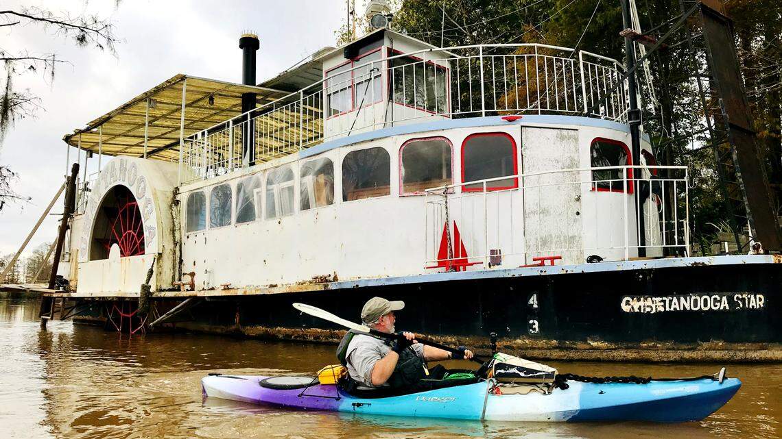 A cypress swamp worth a paddle: See bald eagles, floating cabins, cathedral-like trees