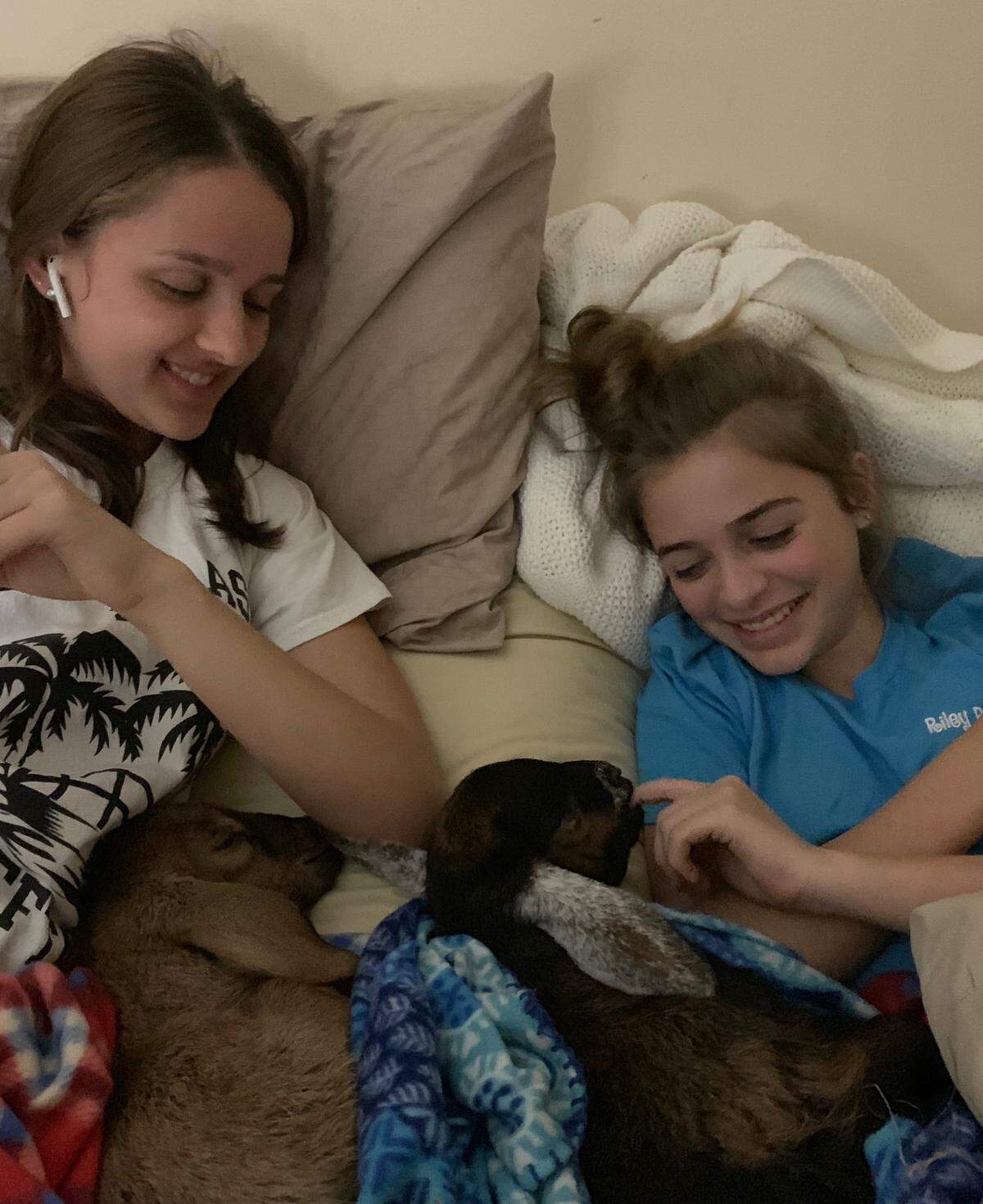 Megan Foy, left, and Erin Parker interact with baby goats Mocha and Cocoa after the animals were taken in by Erin’s mom, Laura Sterling, who operates Laura’s Little Critter Barn in Bluffton. The goats survived an attack in Grays Hill over the weekend while 10 others died.