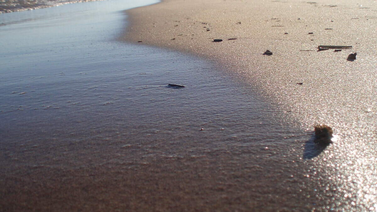 Daufuskie Island