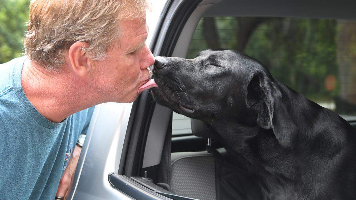 Leaving a dog in a hot car is illegal in North Carolina.