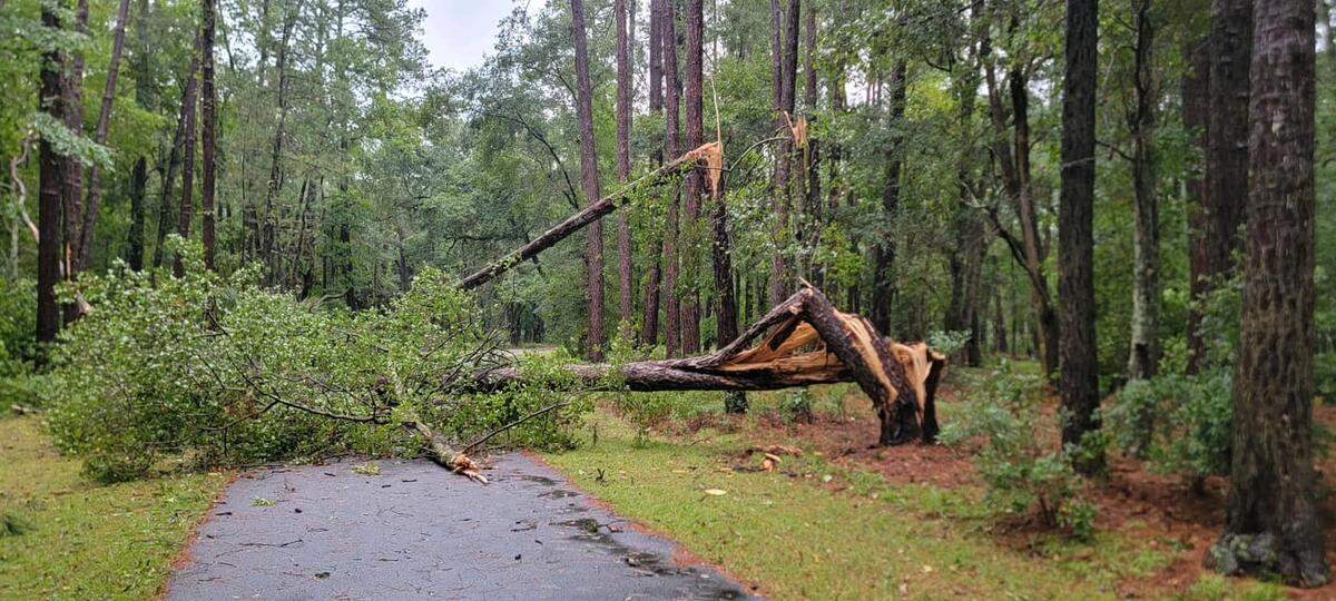 Daufuskie Island firefighters reported several fallen trees and minor roof damage in the Melrose area after a “possible tornado touchdown” stemming from Hurricane Helene.