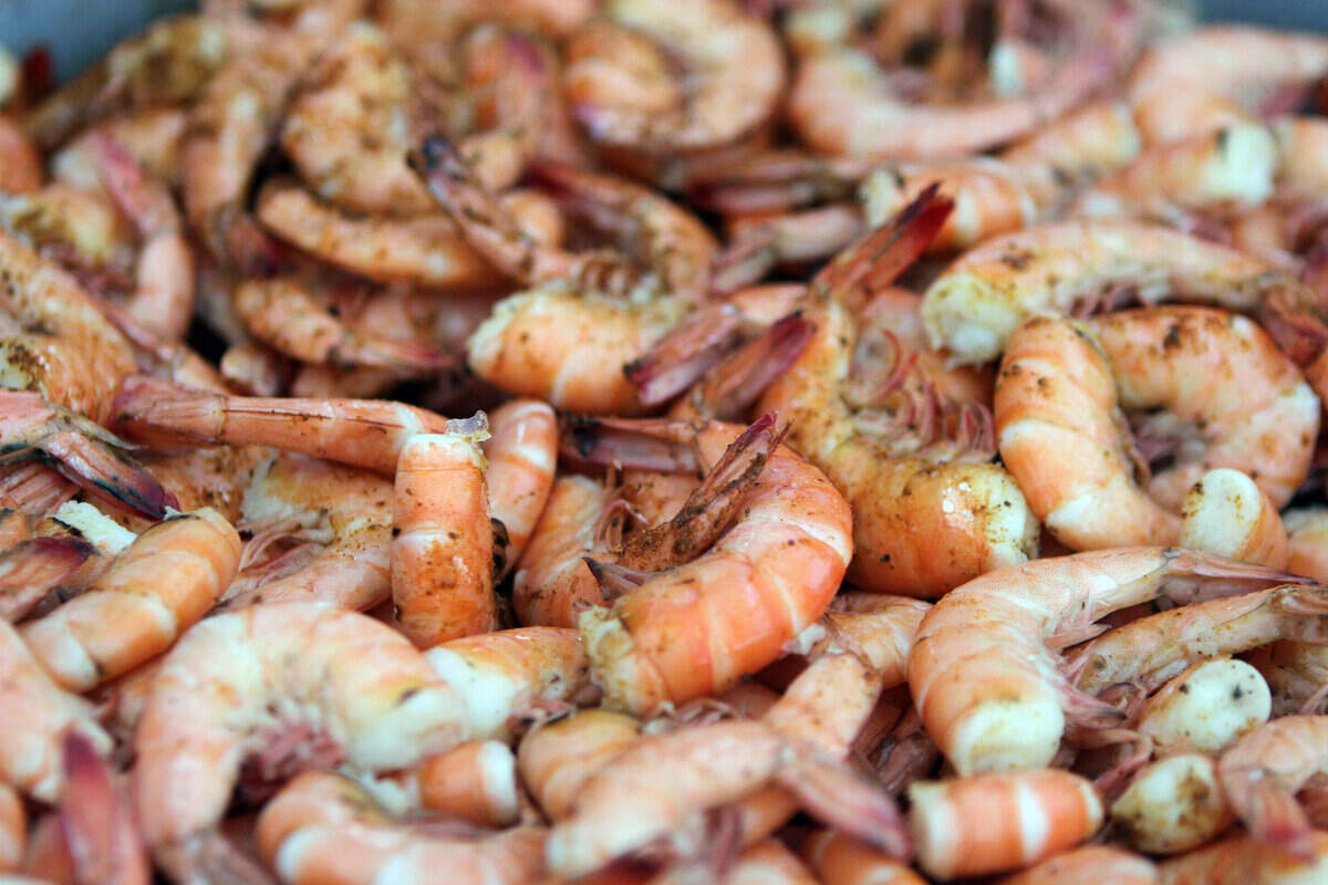 Photographs from Thursday night’s Lowcountry Supper during the 60th Annual Water Festival at Henry C. Chambers Waterfront Park in Beaufort.