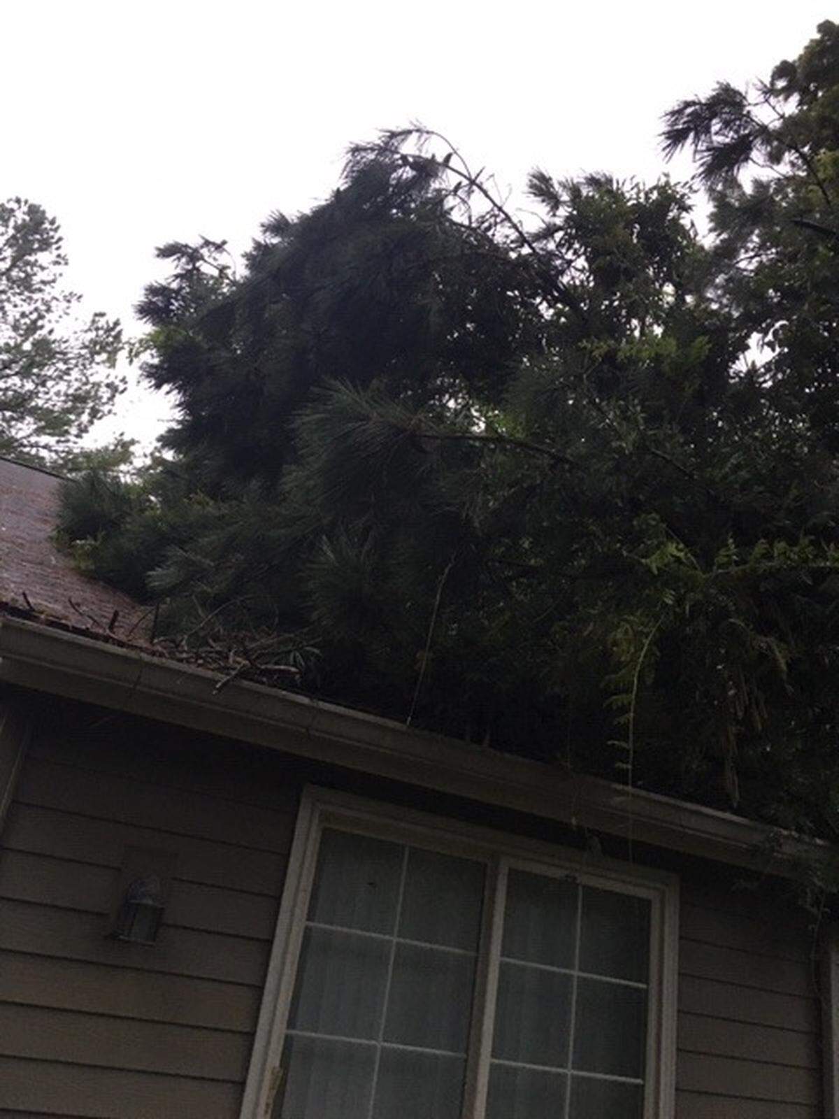 A tree fell on top of a home in the Heritage Lakes neighborhood in Bluffton on Thursday during Hurricane Dorian.