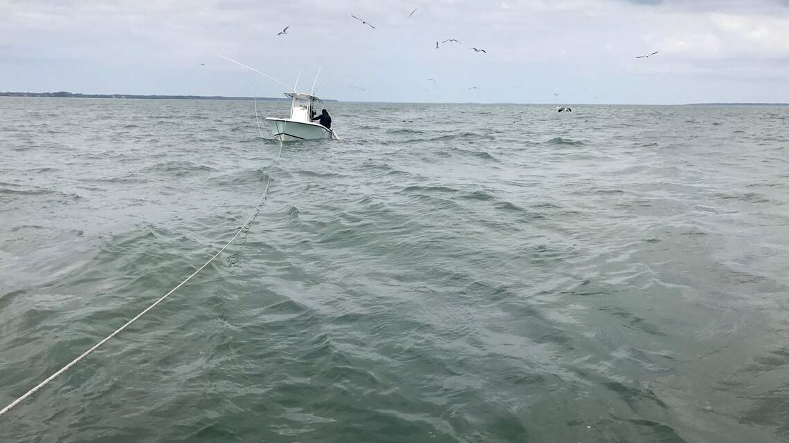 Body of missing 33-year-old man recovered off Tybee Island, reports say