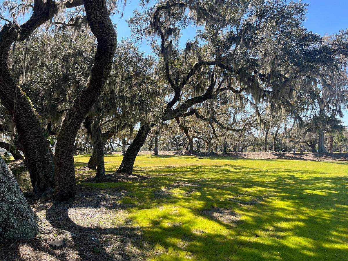 Six acres of prime land located at the gateway to Beaufort on Boundary Street is being set aside as a passive park that will tell the story of the First South Carolina Volunteers, the Union’s first black regiment. It will include benches, a walking path, interpretive signs and possibly a figure of a soldier from that era. “We thought this would be a really fitting place to do it,” City Manager Scott Marshall said.