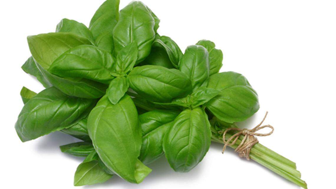 Whether in pot or plot, herbs add serious spice to life and to your gardens