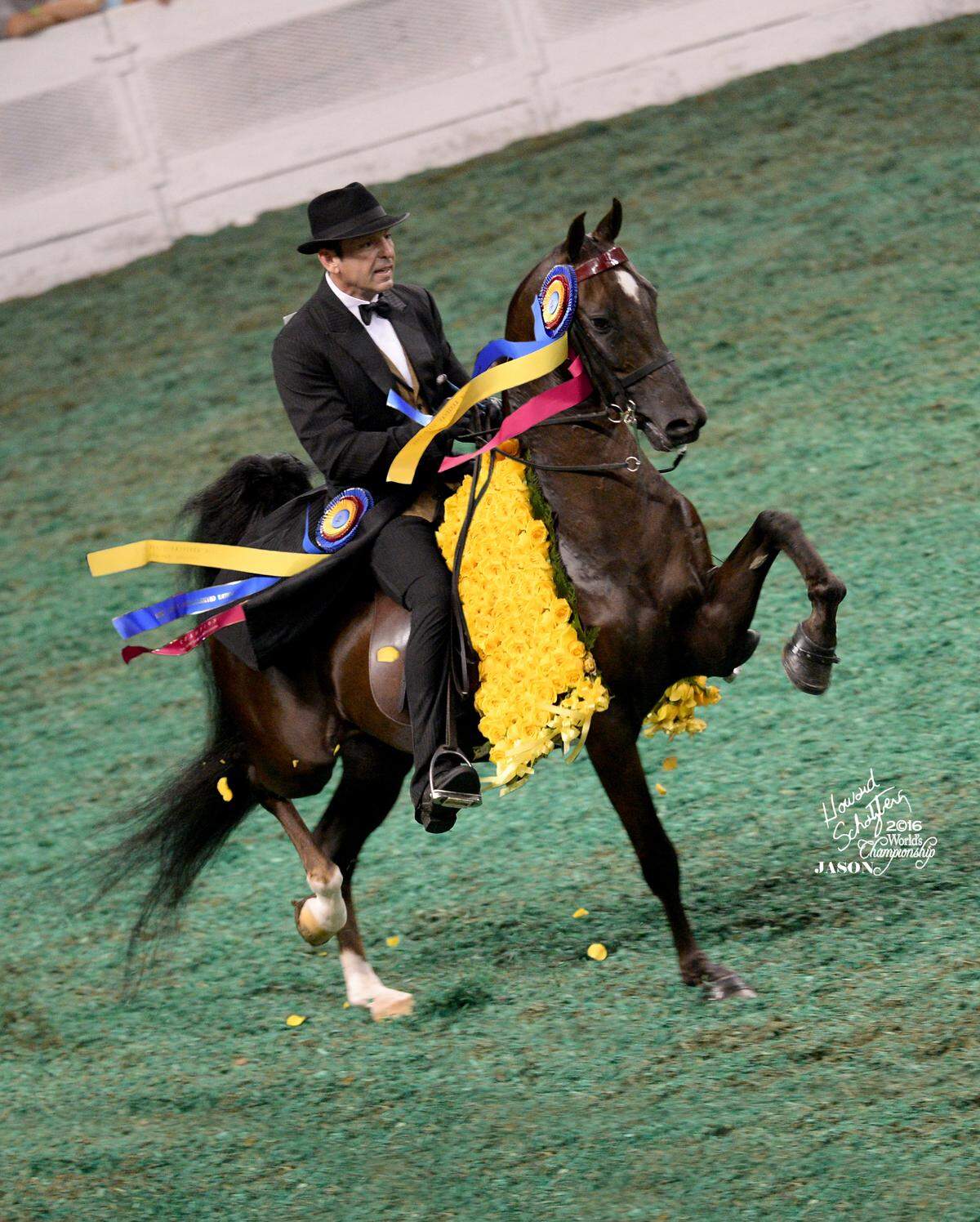 Don O’ Neill with Yellow Roses on the Green Shavings Courtesy.
