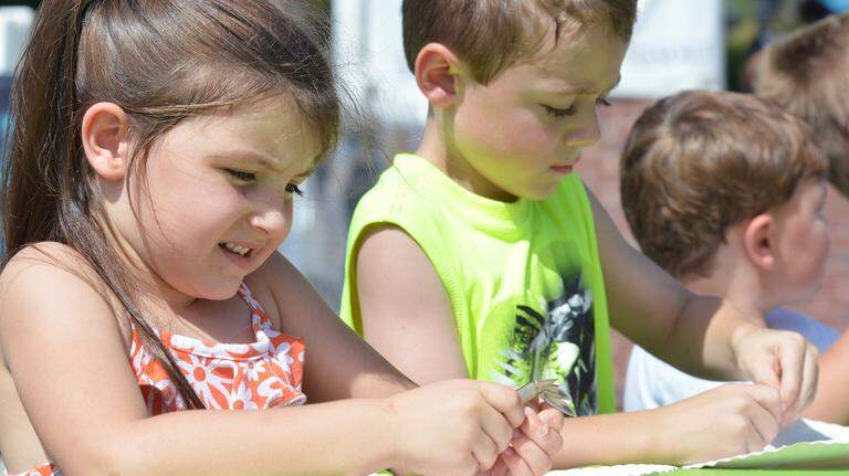 A whopping 20 fall festivals are set for Beaufort County SC and some are soon. Here’s a guide