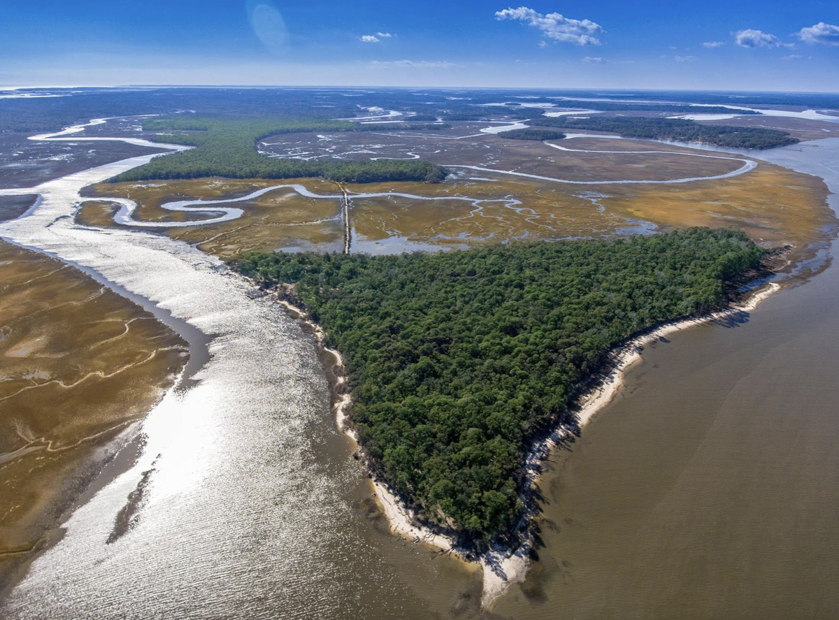The 408-acre Pine Island/St. Helenaville is one of the last large tracts of land on St. Helena Island.