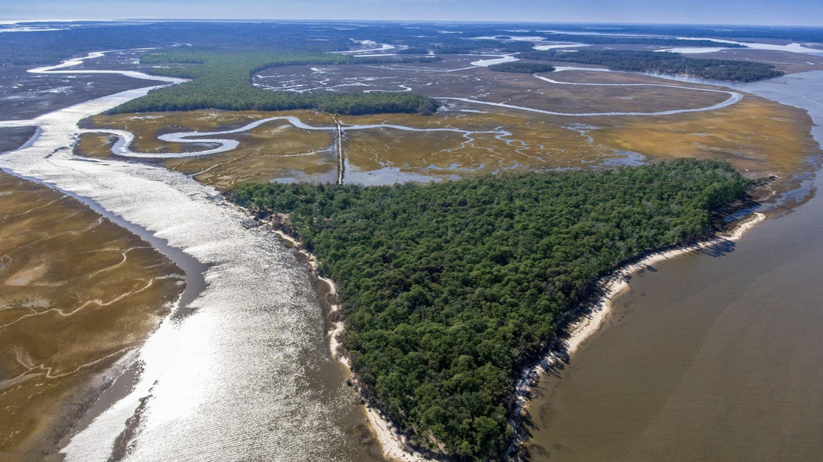 The 498-acre Pine Island/St. Helenaville is one of the last large tracts of land on St. Helena Island.