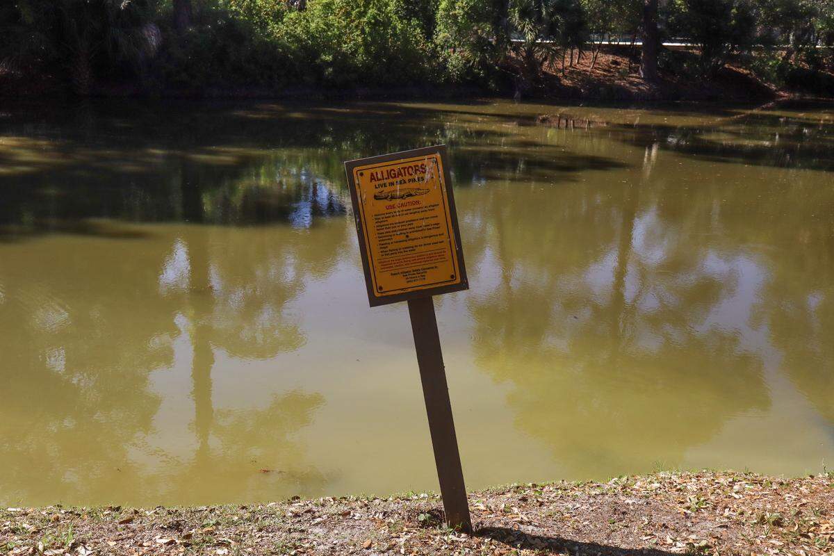 A sign posted along the lagoon warns Sea Pines residents of alligators in the water. One resident in the Beach Lagoon neighborhood said the recovery of a 90-year-old’s body from a vehicle that rolled into the water was delayed by an alligator swimming nearby the morning of April 1, 2026.