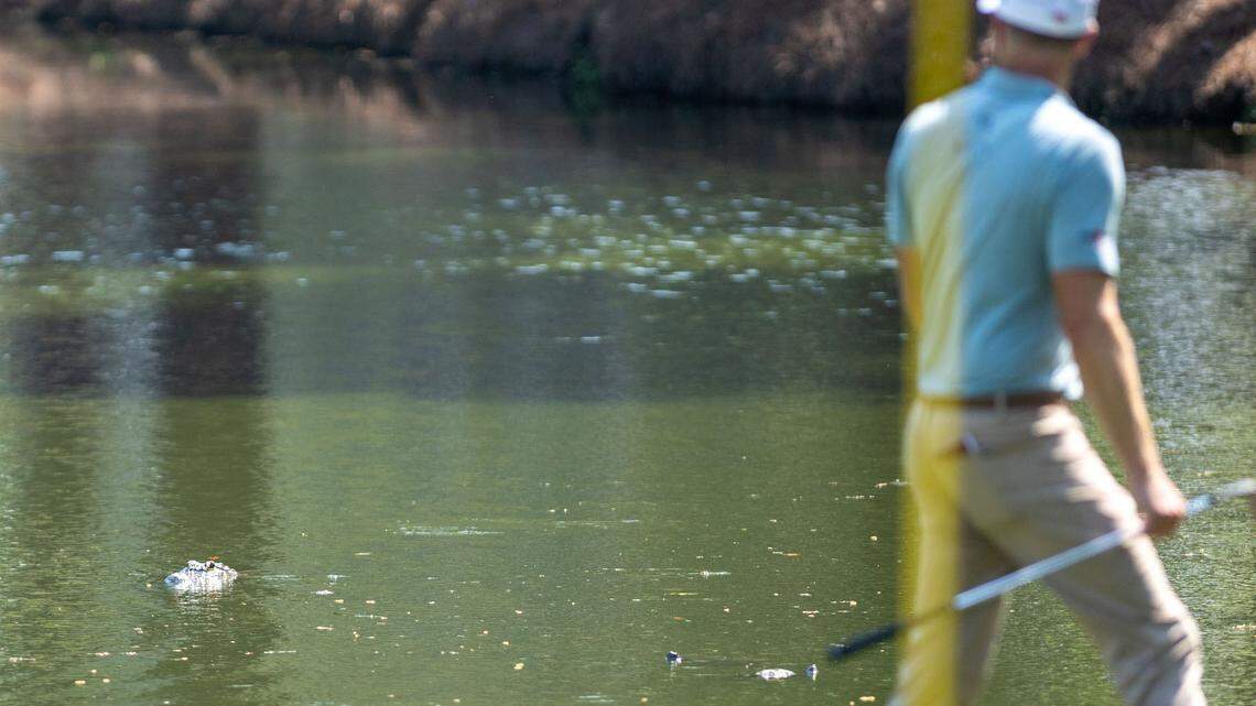 Is it illegal to hit golf balls into the ocean? What Hilton Head officials say