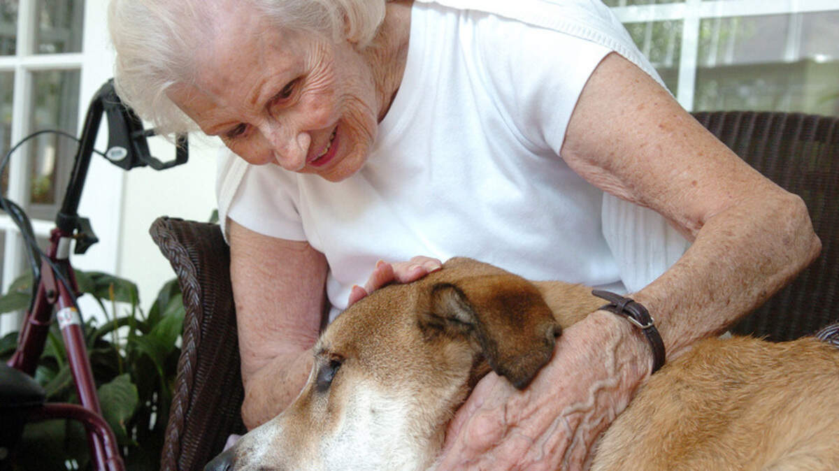 Christine Scrivener spends some time with Smokey at the Palm Meadows Village Thursday afternoon.  Smokey has been a service dog for two and a half years, and Thursday's visit was his 1000th service visit.  Smokey became a trained therapy dog just over two years ago and inspired his owner Rich Czark to start a local chapter for other canines in public service. 