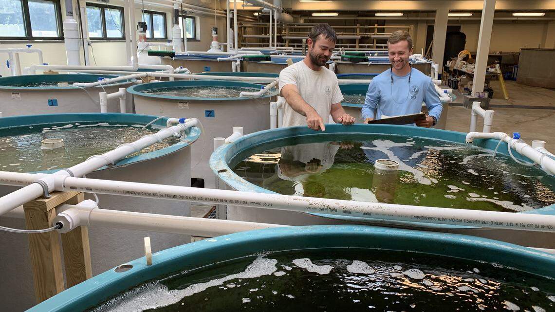 SC Lowcountry at its finest: A Taste of Waddell. The NEW Waddell