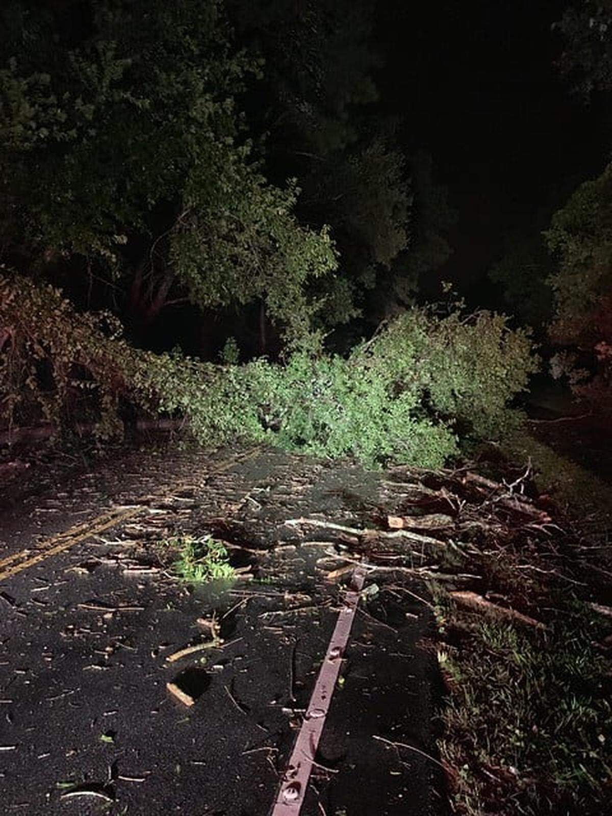 A downed tree on Gum Tree Road on Hilton Head Island as Hurricane Dorian brings rain and higher wind to the island. After a quiet evening, the Hilton Head 911 dispatch center got three calls of downed trees around 10 p.m., according to Hilton Head Fire Rescue.