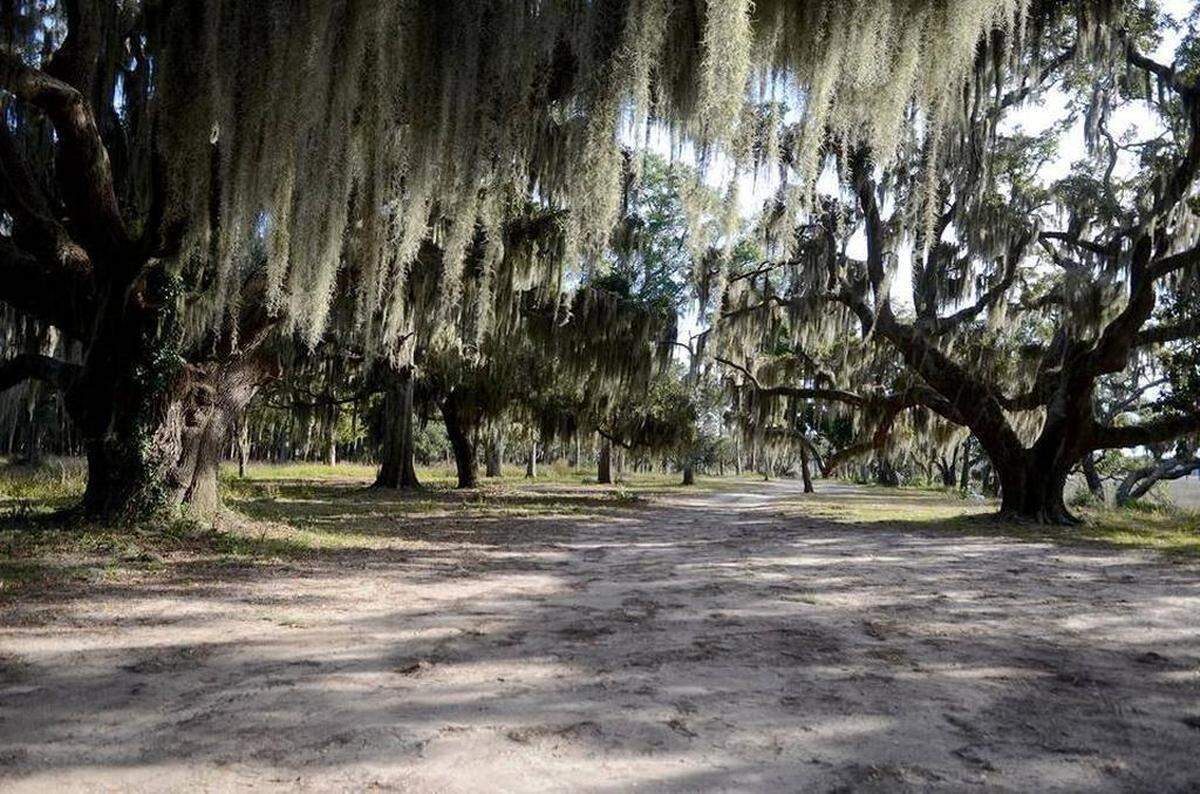 The property known as Whitehall is pictured in 2016. Beaufort County bought 10 acres of the property to preserve as a waterfront park, and the ensuing controversy has resulted in proposed changes to the county land preservation program.