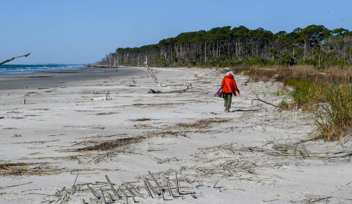 Abby Morris walks Pritchards Island on Friday, April 8, 2022, picking up debris and garbage as she makes her way down the narrow beach that used to be high with dunes. Over time, the high tide water mark has edged closer to the forest of trees at the island’s south end.